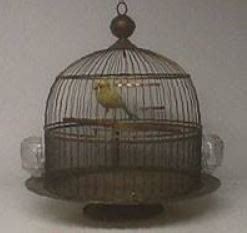 The Ideal Canary Bird Cage...Size and Shape