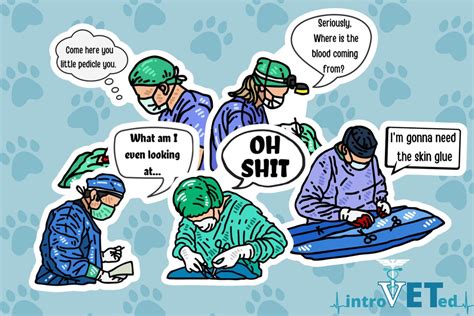 Surgeon Sticker 5-pack,funny Doctor Sticker Pack,surgeon Stickers,veterinarian Stickers,md ...