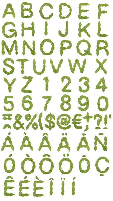 Buy Leaf Light Font To Create Memorable Brand With Green Alphabet