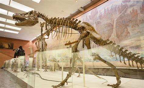 Orlov Paleontological Museum Moscow - natural history museum