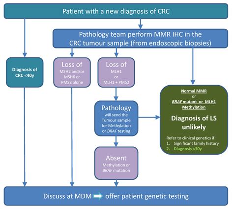 Lynch Syndrome Supporting Documents - RM Partners