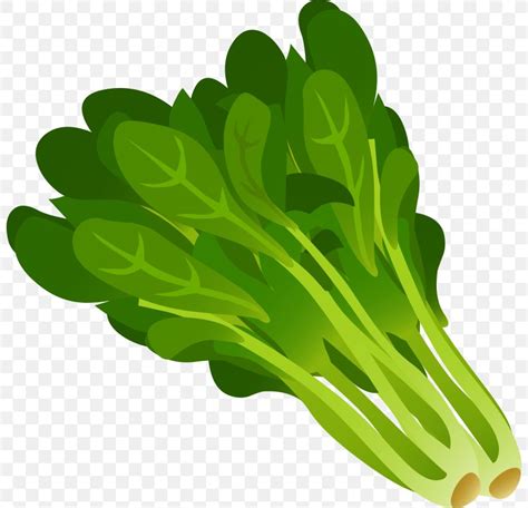 Spinach Leaf Vegetable Clip Art, PNG, 800x790px, Spinach, Chinese Cabbage, Drawing, Food, Free ...
