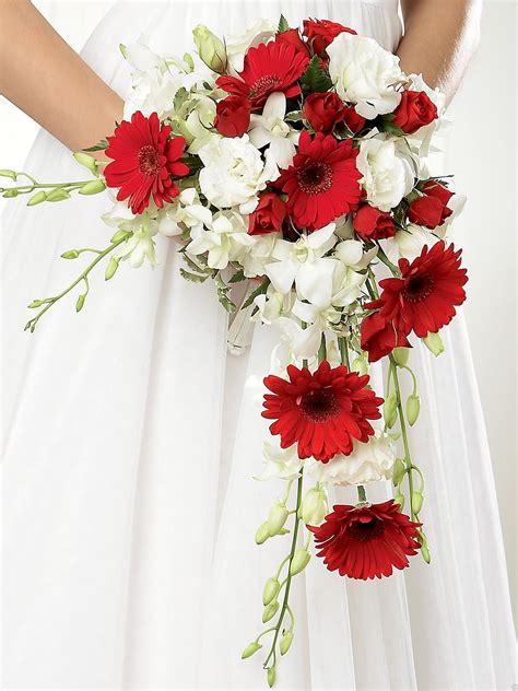 Cascading Wedding Bouquet: Red Gerbera Daisies, Red Spray Roses, White Lisianthus, Whit ...