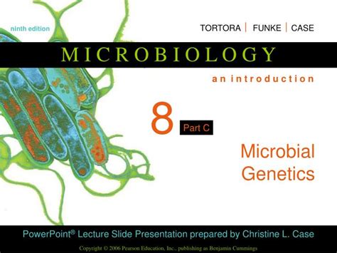 PPT - Microbial Genetics PowerPoint Presentation, free download - ID ...