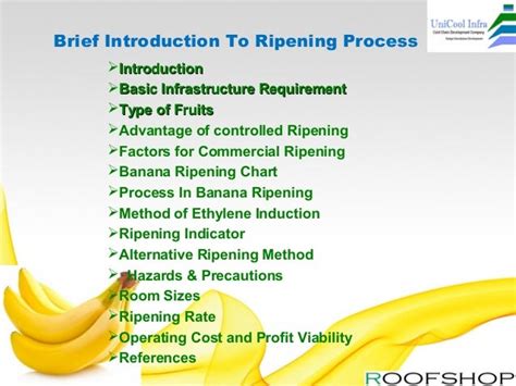 Banana ripening plant manufacturer by uni cool infa systems