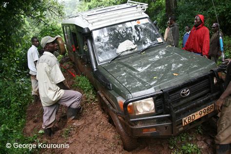 Kitum Cave - Mount Elgon, Kenya