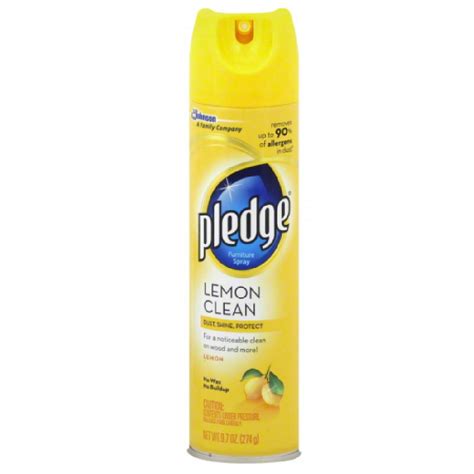 LEMON PLEDGE - Malaysia Leading Cleaning Equipment Manufacturers