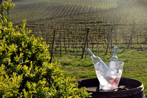 Surf Break: A Portuguese Wine Tasting