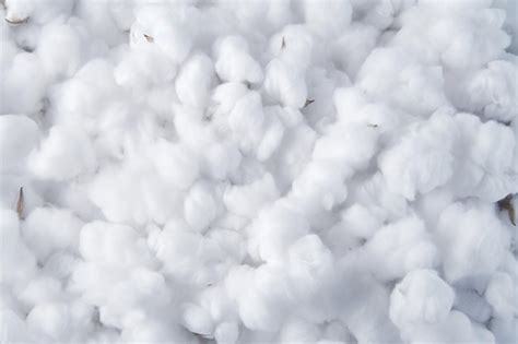 Premium Photo | White fluffy cotton background