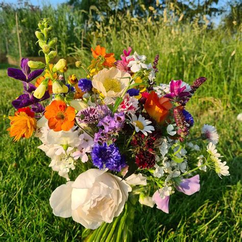 Essence Of Nature Flowers | Flowers from the Farm