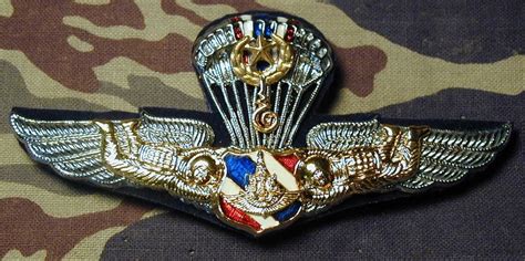 Pin on Paratroopers Badges and Insignia of the World Special Forces beret badge