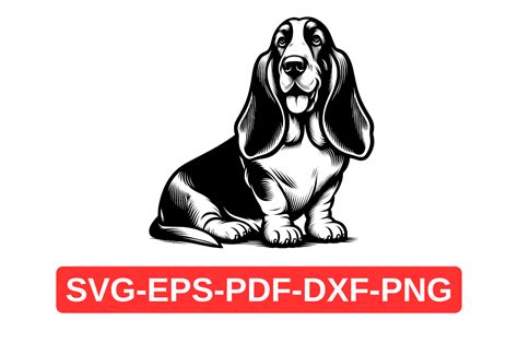 Funny Basset Hound Silhouette SVG, Dog Graphic by Artful Assetsy ...