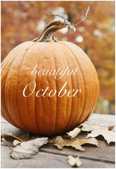 .Hello October! | pumpkin. | Pumpkin, October images, Fall thanksgiving