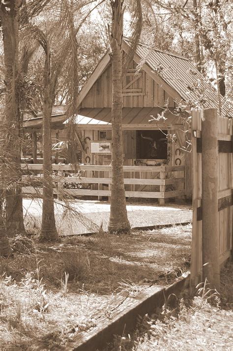 Babcock Ranch Photograph by Mitchell Rudin | Fine Art America