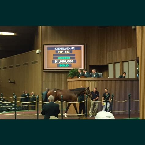 Buying the Best Breeding - Thoroughbred U