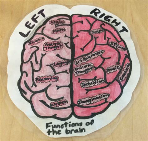 Ever Wondered: How Anxiety Affects the Brain? – The Morgan PawPrint