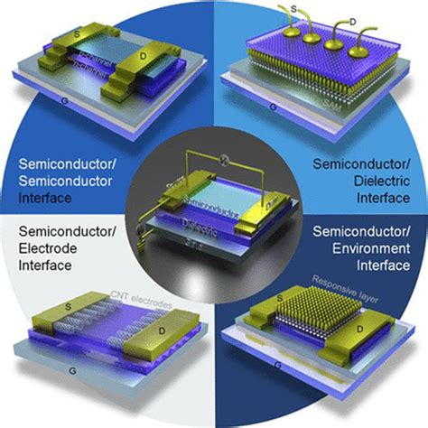 Interface Engineering in Organic Field-Effect Transistors: Principles ...