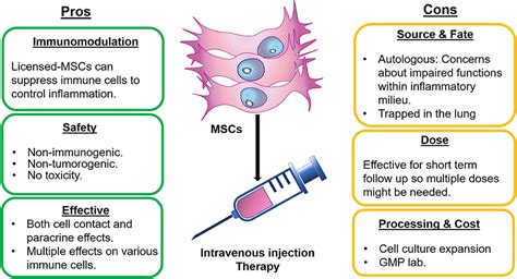 Frontiers | Multipotent Mesenchymal Stromal Cells in Rheumatoid ...