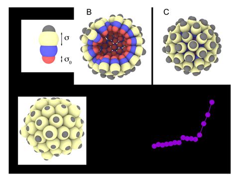 (A): The capsomere model. The effective size of the beige bead, σ, is... | Download Scientific ...