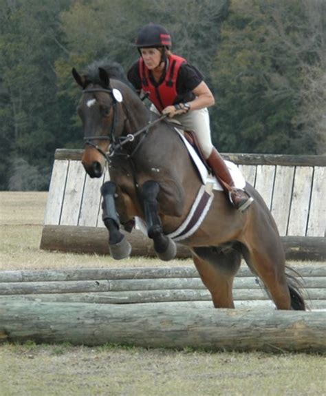 Young Event Horse Competition at Florida Horse Park