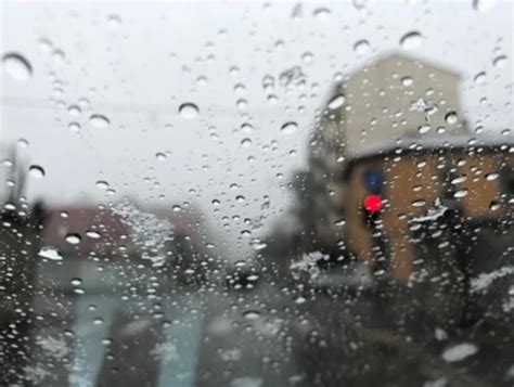 Oshawa's weather forecast for April 11: Rainy and overcast - The ...