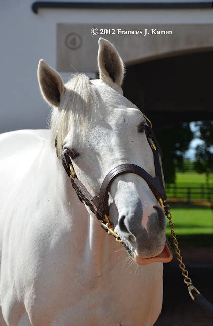 Running Rough Shod: Tapit, Saturday Star