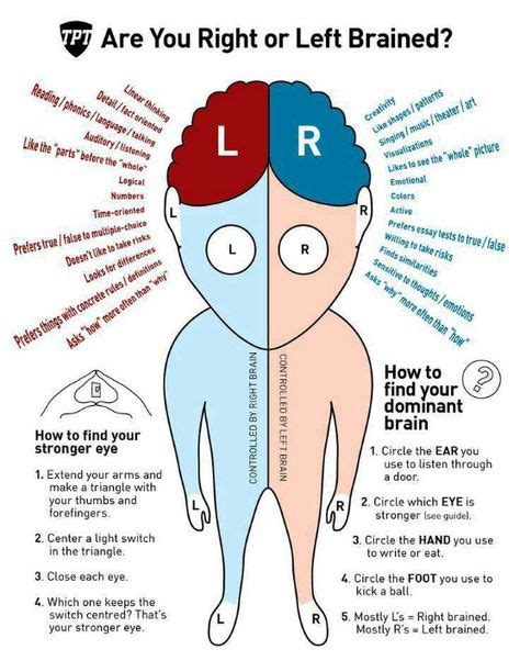 Are You Right Or Left Brained? Natural Health | Right brain, Left vs ...