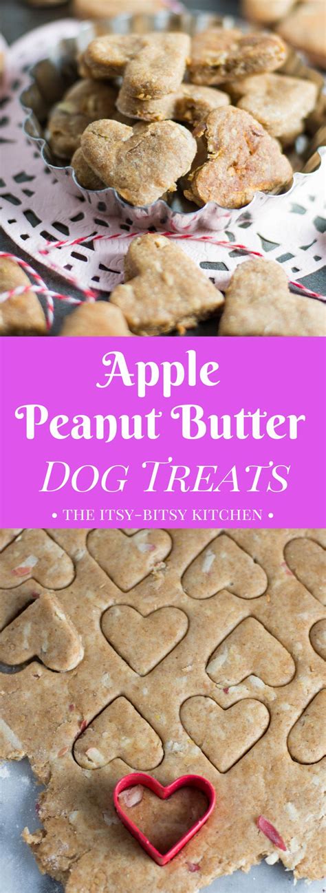 This recipe for easy homemade apple peanut butter dog treats uses all ...