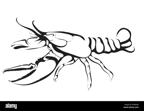 Lobster Clip Art Black And White