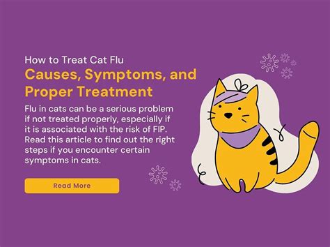 How to Treat Cat Flu: Causes, Symptoms, and Proper Treatment