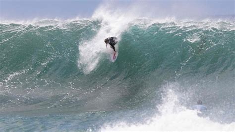 Australia surfer dies after shark attack - The Limited Times