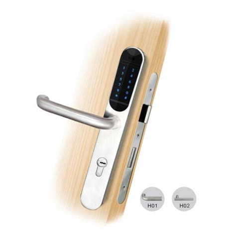 Wifi Keyless Electronic Smart Commercial Door Lock with Keypad - Ningbo Rayonics Technology Co ...