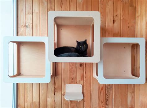 Wall Mounted Cat Shelf Bed, Cat Shelves, Modern Cat Bed, Cat Wall ...