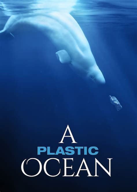 Ocean Documentaries: 10 Best Films to Stream Online | Veganuary