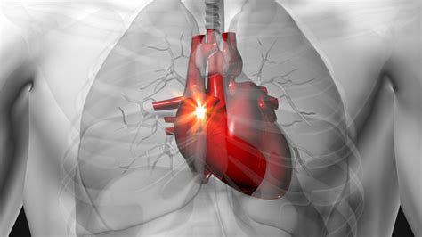 Causes and Treatment for Fast Heartbeat After Eating | New Health Advisor