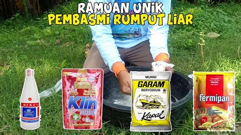 Cara Membuat Herbisida Alami Murah Meriah Dan Ramah Lingkungan - YouTube