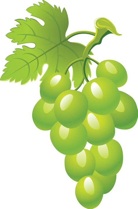 Download Green Grapes PNG Image for Free