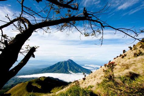 Merbabu Mountain | Tourist places, Mountains, Tourist