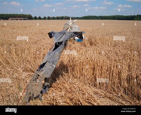 scarecrow in wheat field Stock Photo - Alamy