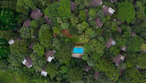 The Best Resort in Wayanad | Best Nature Resort in Vythiri, Wayanad