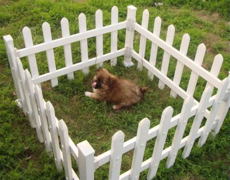 Cheap Fence Ideas For Dogs In DIY Reusable And Portable Dog Fence | Roy ...