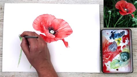 Simple Poppy Flower Painting Watercolour Tutorial - YouTube