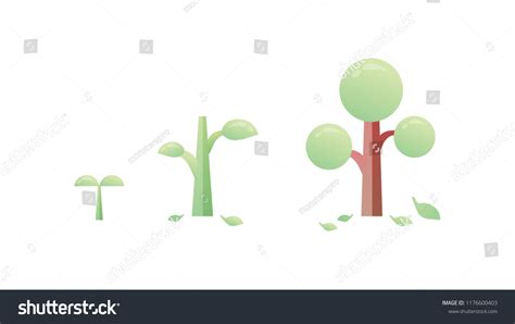 Tree Growth Process Timeline Tree Growth Stock Vector (Royalty Free) 1176600403 | Shutterstock