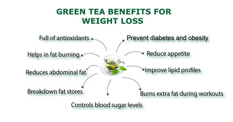 Does Green Tea Help With Weight Loss – How it Works?