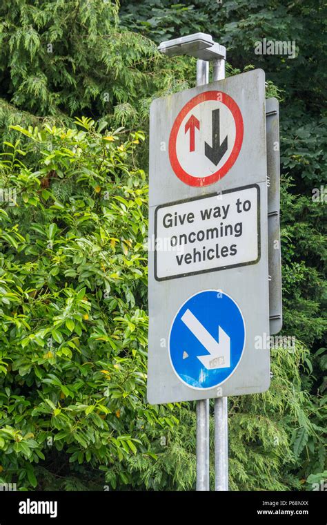 Give Way Sign Uk High Resolution Stock Photography and Images - Alamy