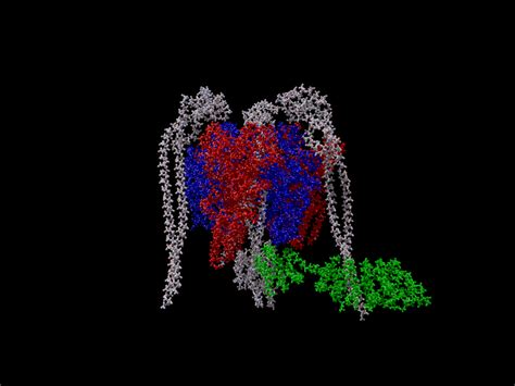 Crystal structure of a V-Type ATPase - Scivit - english version