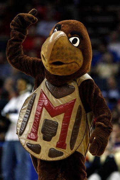 Maryland Terrapins mascot, Testudo the Terrapin. He debuted in the 1970s. | Mascot, Terrapins ...