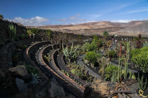 Cactus garden (Lanzarote): photos + tips