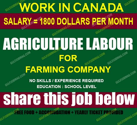 Agriculture workers required for Canada | Urgent demands