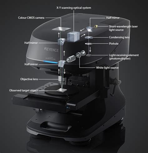 Laser Scanning Confocal Microscopes | Other Microscopes | Microscope Glossary | KEYENCE ...